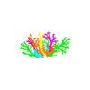 Neon Branch Coral