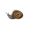 Snail