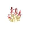 Animated Gorgonian