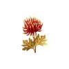 Golden Chrysanthemum