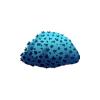 Aqua Montipora Coral