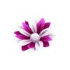 Purple and White Flower