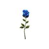 Blue Rose