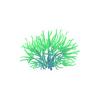 Green Star Polyps