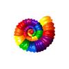Rainbow Shell