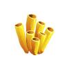 Yellow Tube Coral
