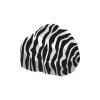 Pattern Zebra Rock