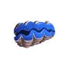 Small Giant Clam