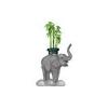 Elephant Plant Statue