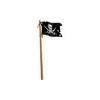 Pirate Flag