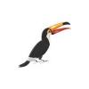 Toucan