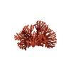 Gorgonian Coral