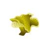 Mushroom Coral