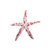 Red Sea Star