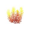 Fire Gorgonian