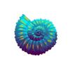 Ammonite Tropical Feeder