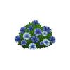 Blue African Daisy Feeder