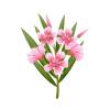 Pink Oleander Feeder