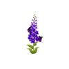 Purple Delphinium Feeder