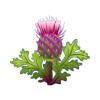 Purple Thistle Feeder