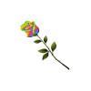 Rainbow Rose Feeder