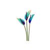 Sky Lily Sparkle Feeder