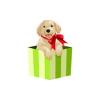 Puppy Gift