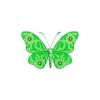 Ornate Green Butterfly