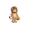 Lion Costume Child