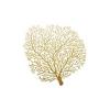 Golden Brush Coral