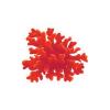 Red Rainbow Coral