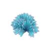 Aqua Glass Lettuce Coral