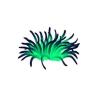 Green Sea Anemone