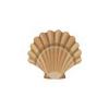 Scallop Shell