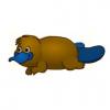 Bill the Platypus