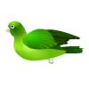 Green Lovebird