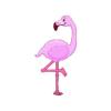 Pink Flamingo