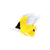 Winged Butterflyfish