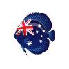 Australian Flag Discus