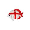 St Georges Cross Fish