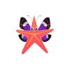 Candy Butterfly Starfish