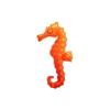 Orange Seahorse