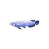 Mosaic Arowana