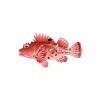 Small Red Scorpionfish