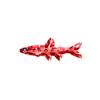 Mini Red Gemfish