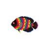 Rainbowscale Fish