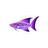 Twilight Lavendar Star Fish