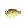 Long-spine Porcupinefish