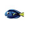 Pacific Regal Blue Tang