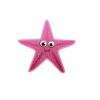 Pink Ochre Starfish